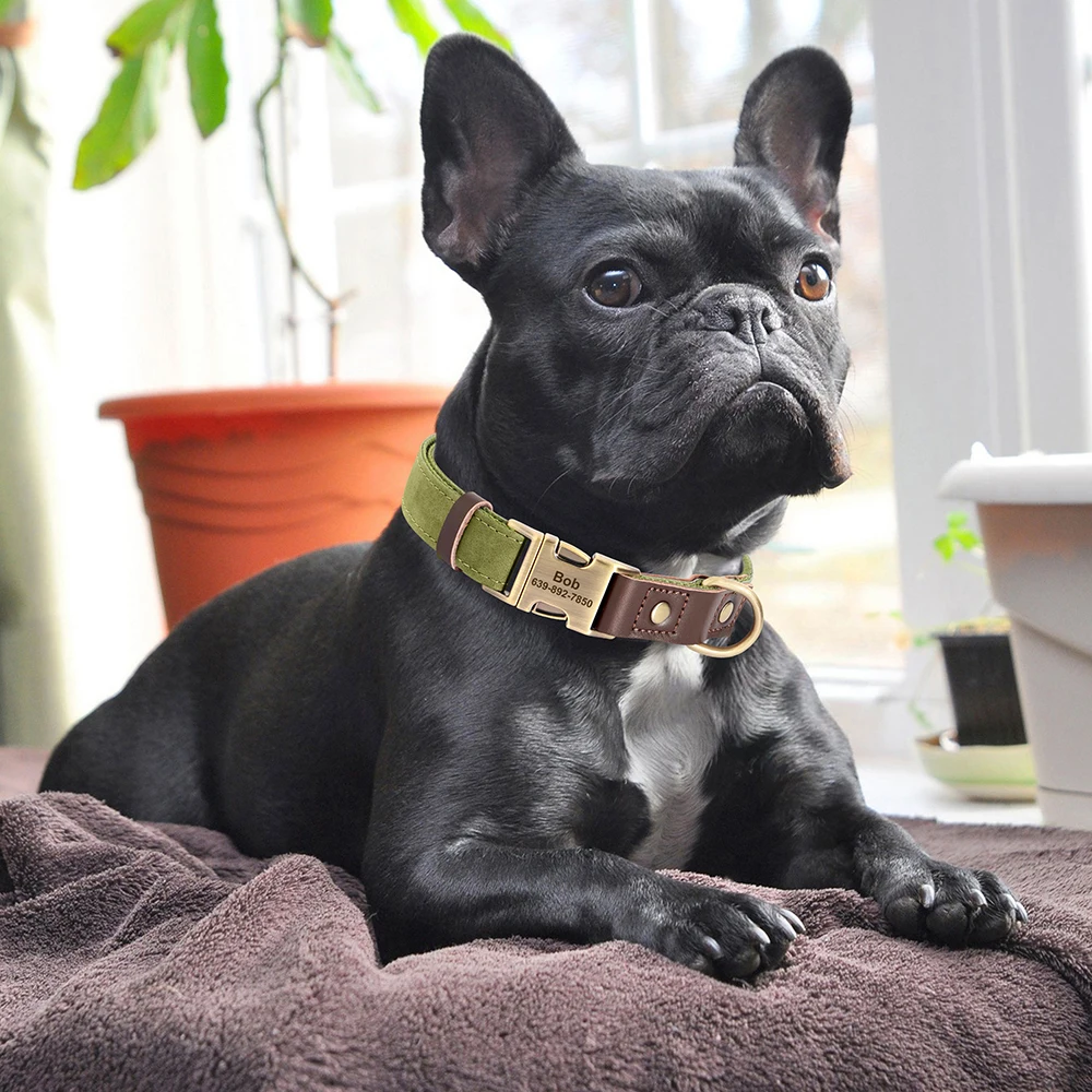 Coleira para Cães de Couro PU Gravada com Fivela de Metal - Image 5
