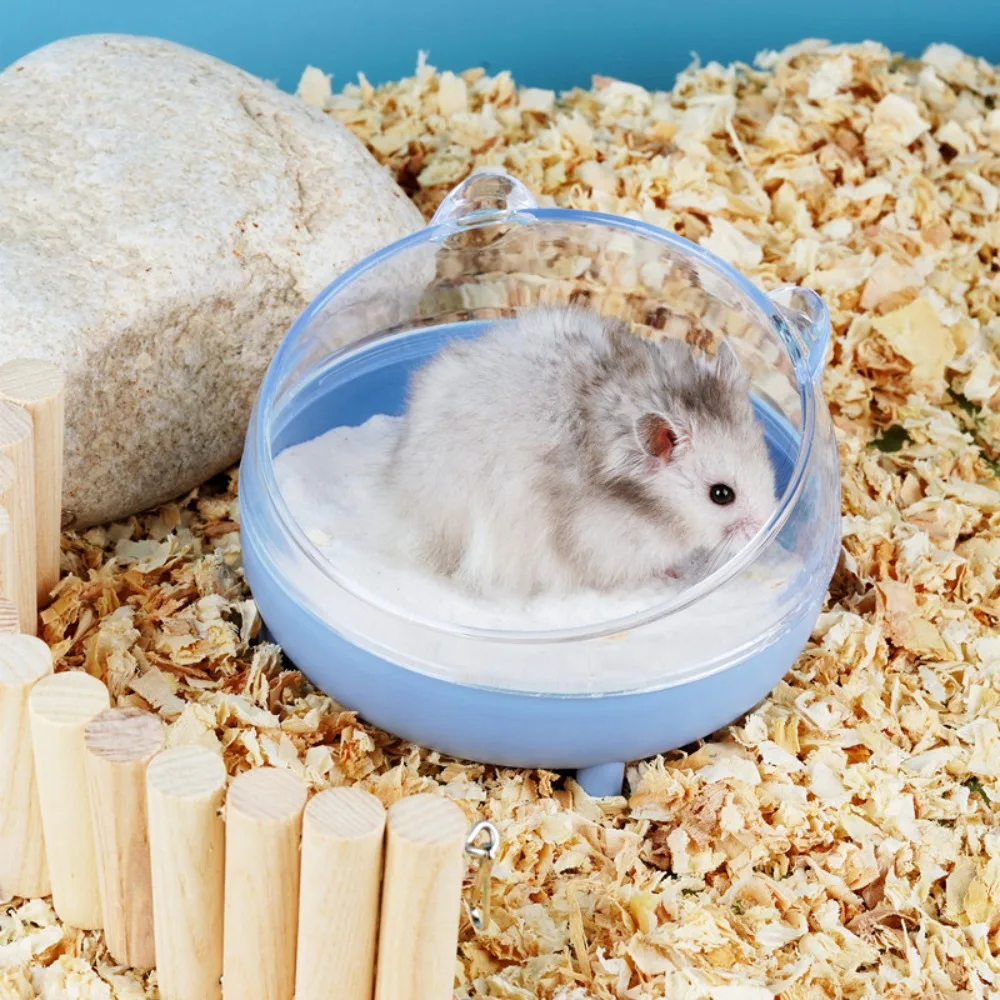 Caixa de Areia para Hamster Transparente com Tampa Removível - Imagem 3