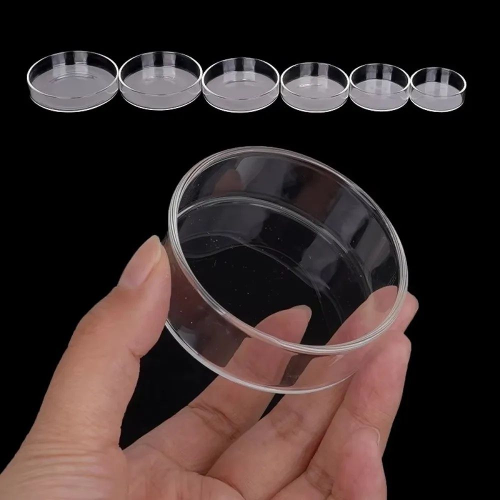 Tigela de Vidro Transparente para Aquário 60mm Redonda - Image 3