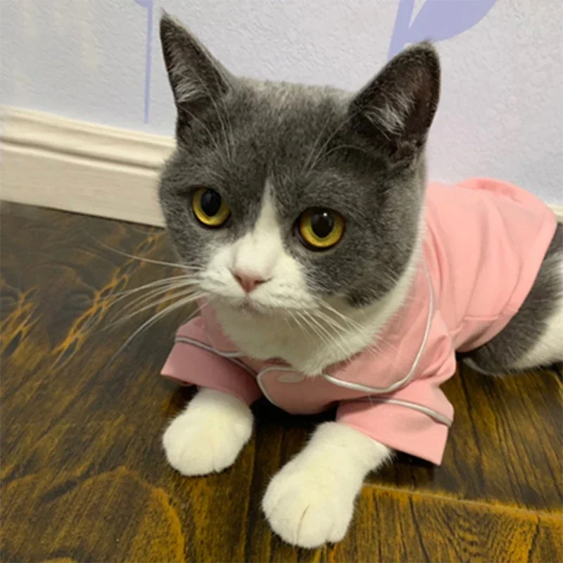 Fantasia de Natal para Gatos com Capuz Pet - Imagem 5