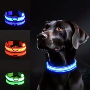 coleira led para cães pequenos e médios
