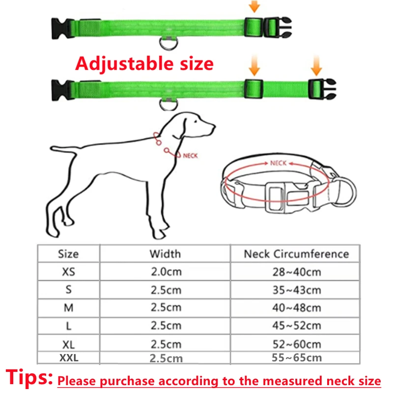 Coleira LED para Cães e Gatos Recarregável USB e Ajustável - Imagem 6