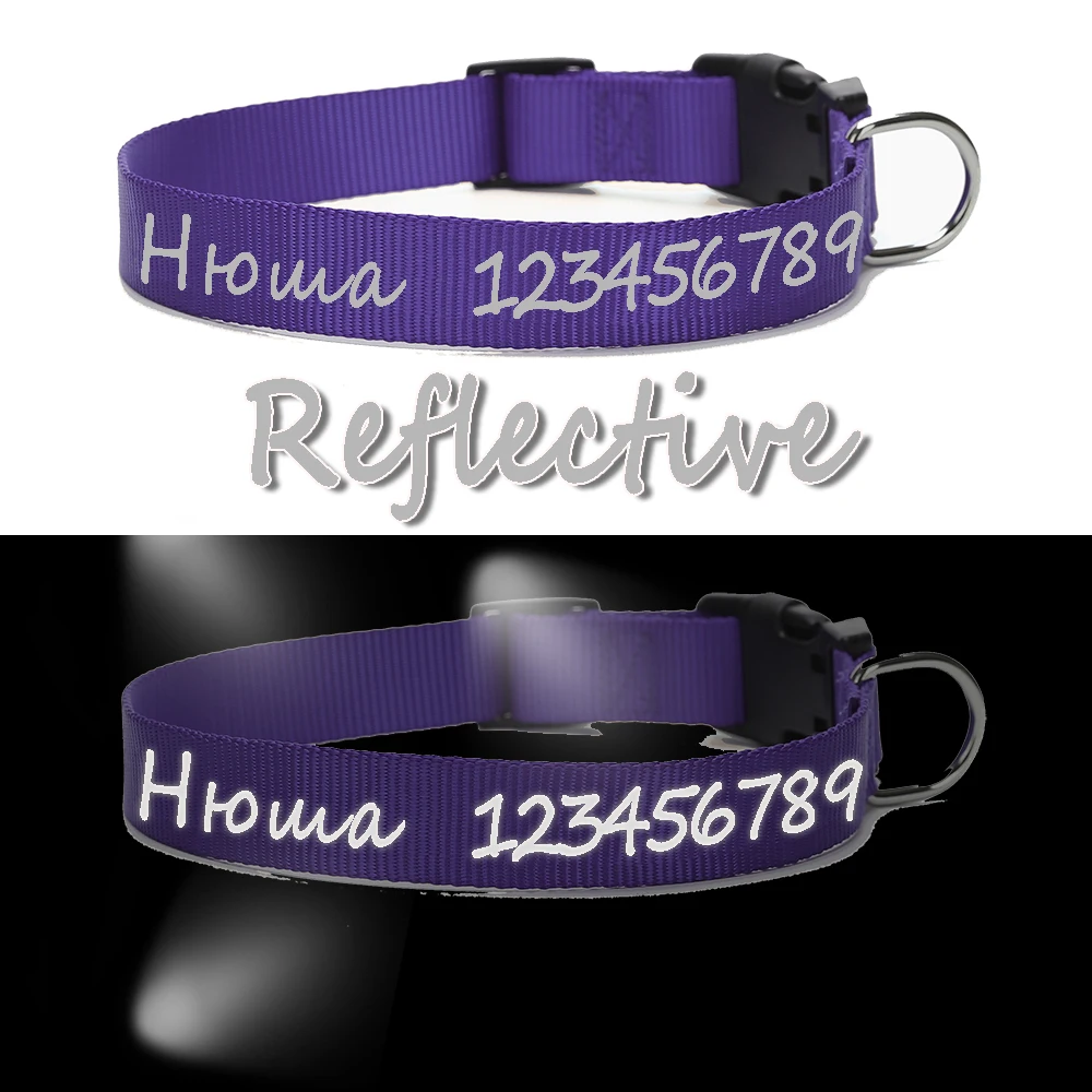 Coleira Personalizada para Cães de Nylon com Nome e Telefone - Image 6
