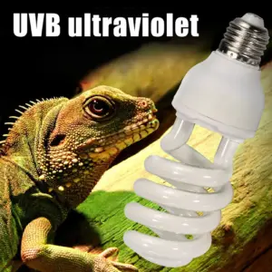 lâmpada uvb para répteis