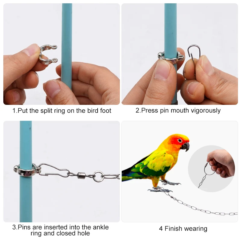 Anel de Pé para Pássaros em Aço Inoxidável para Calopsita - Image 2