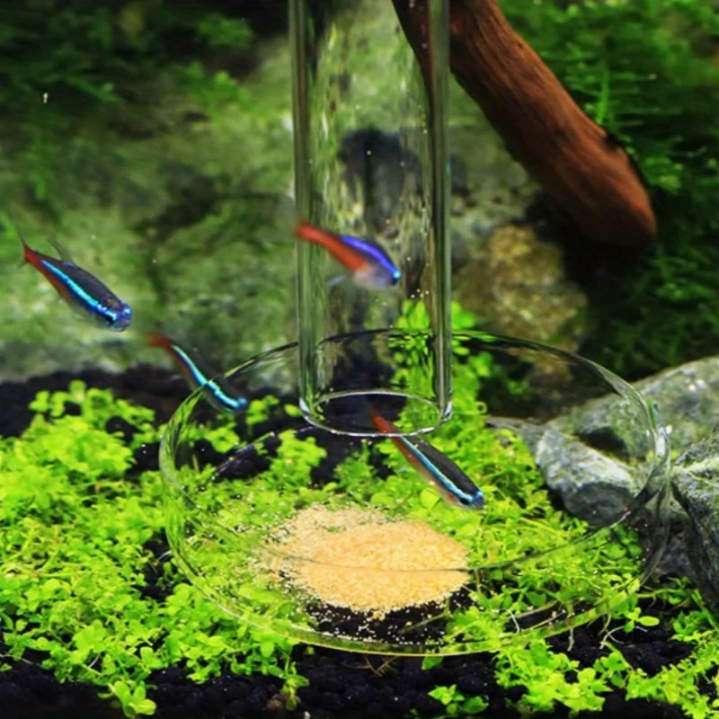Tubo Alimentador de Vidro para Camarão e Plantas Aquáticas - Imagem 5