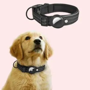 coleira para cães com airtag refletiva