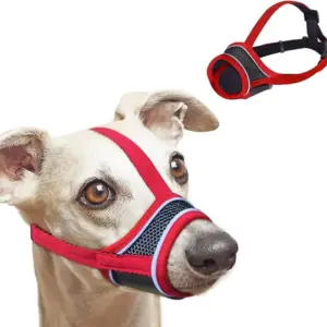 focinho de malha para cães