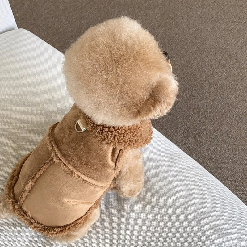 Colete para Cães Pequenos e Médios de Lã com Fivela de Tração - Imagem 3