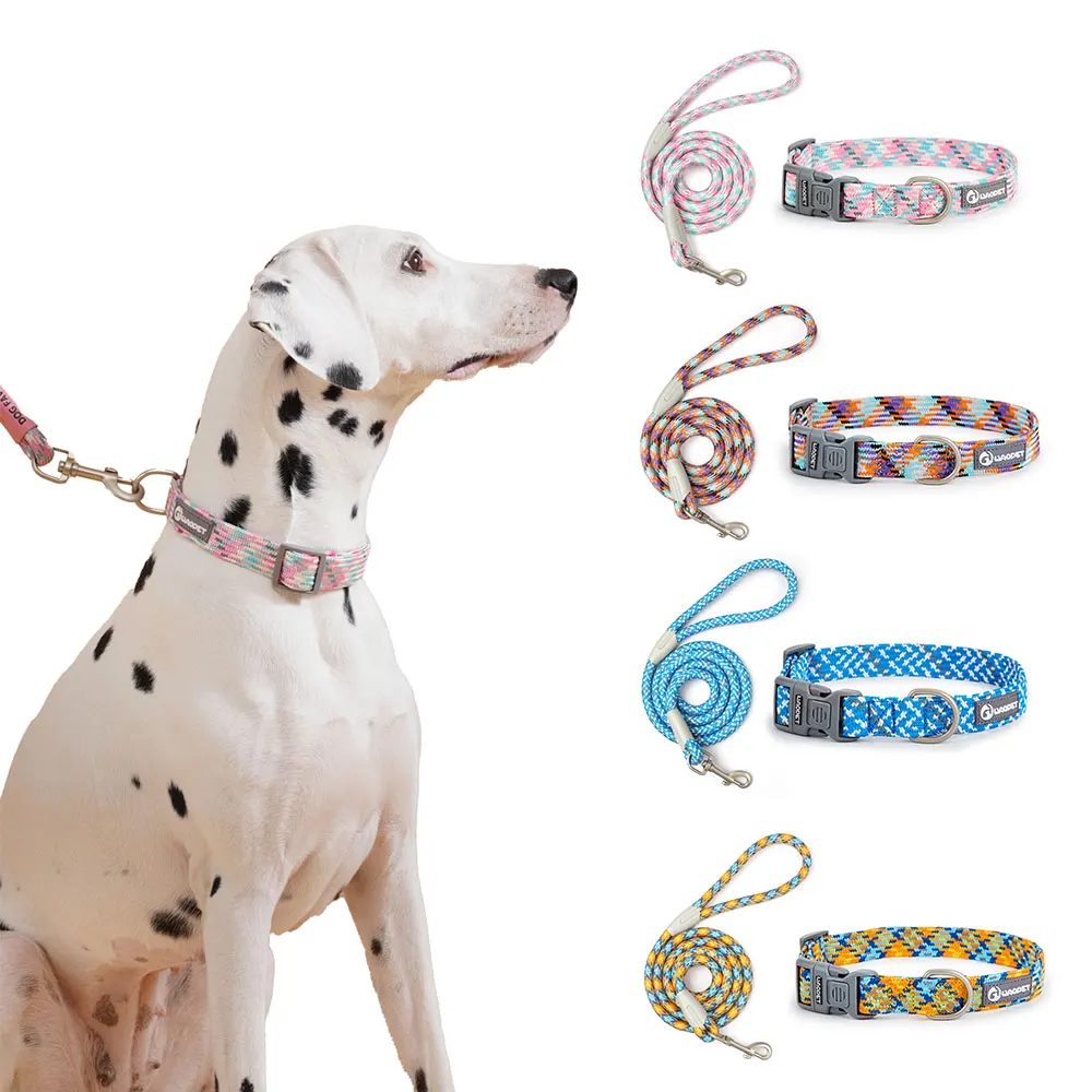 conjunto de coleira e guia para cães