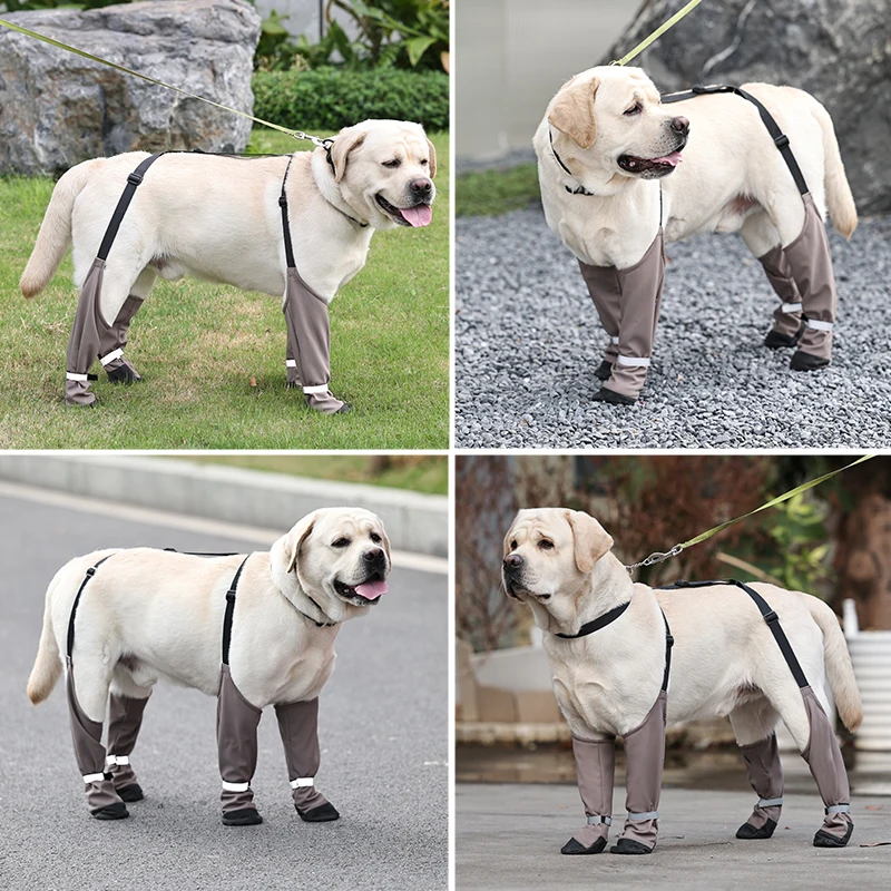 Botas Impermeáveis para Cães Antiderrapantes com Tira Anti-Desprendimento - Imagem 4