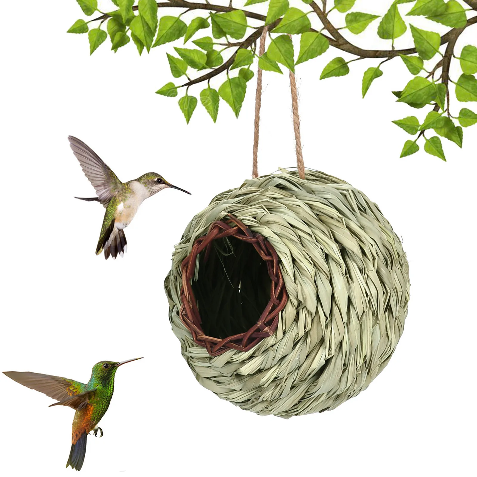 Ninho para Periquitos e Calopsitas Transparente com Bordas Lisas - Imagem 4