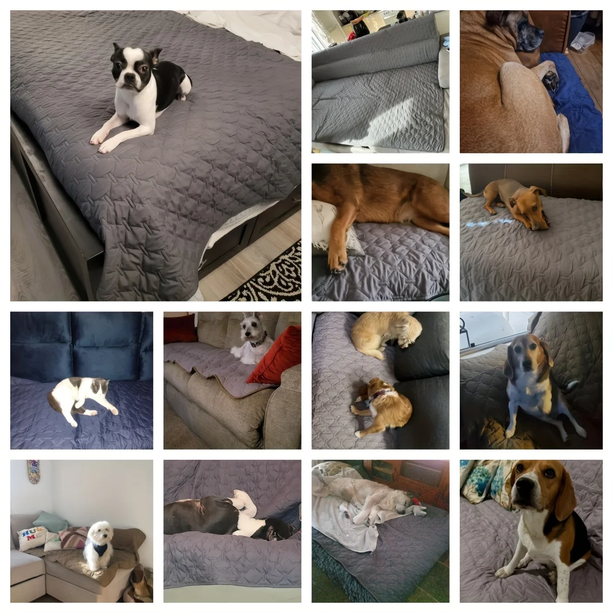 Capa para Cama de Cães Impermeável Dupla Face com Proteção para Sofá - Imagem 6
