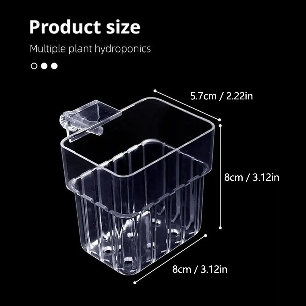 Suporte de Planta para Aquário Transparente 8 cm com Visão da Raiz - Imagem 6