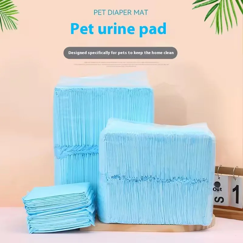 fralda absorvente para cães descartável