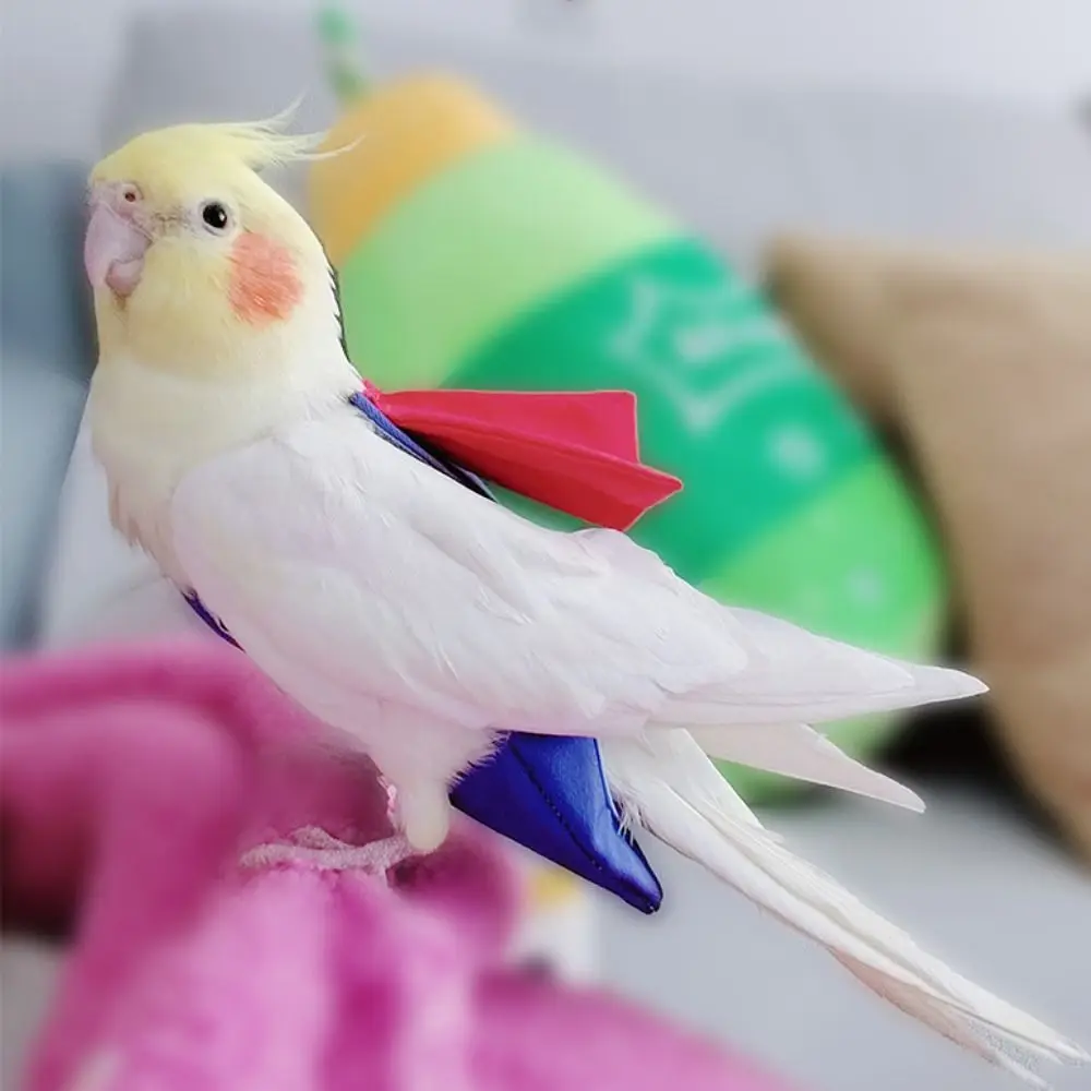 Fralda para Pássaros Periquito Calopsita Pombos Leve - Imagem 5