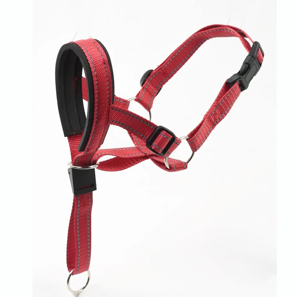 Coleira de Nylon para Cães Grandes Anti-Mordida - Image 6