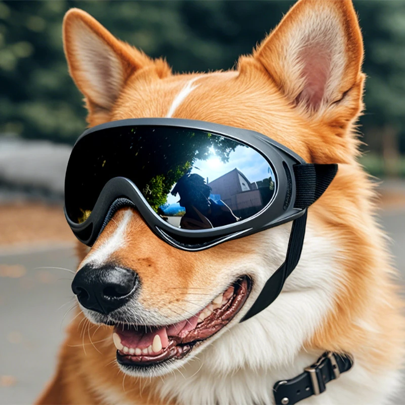 Óculos de Sol para Cães Ajustáveis com Proteção UV para Passeio - Imagem 3