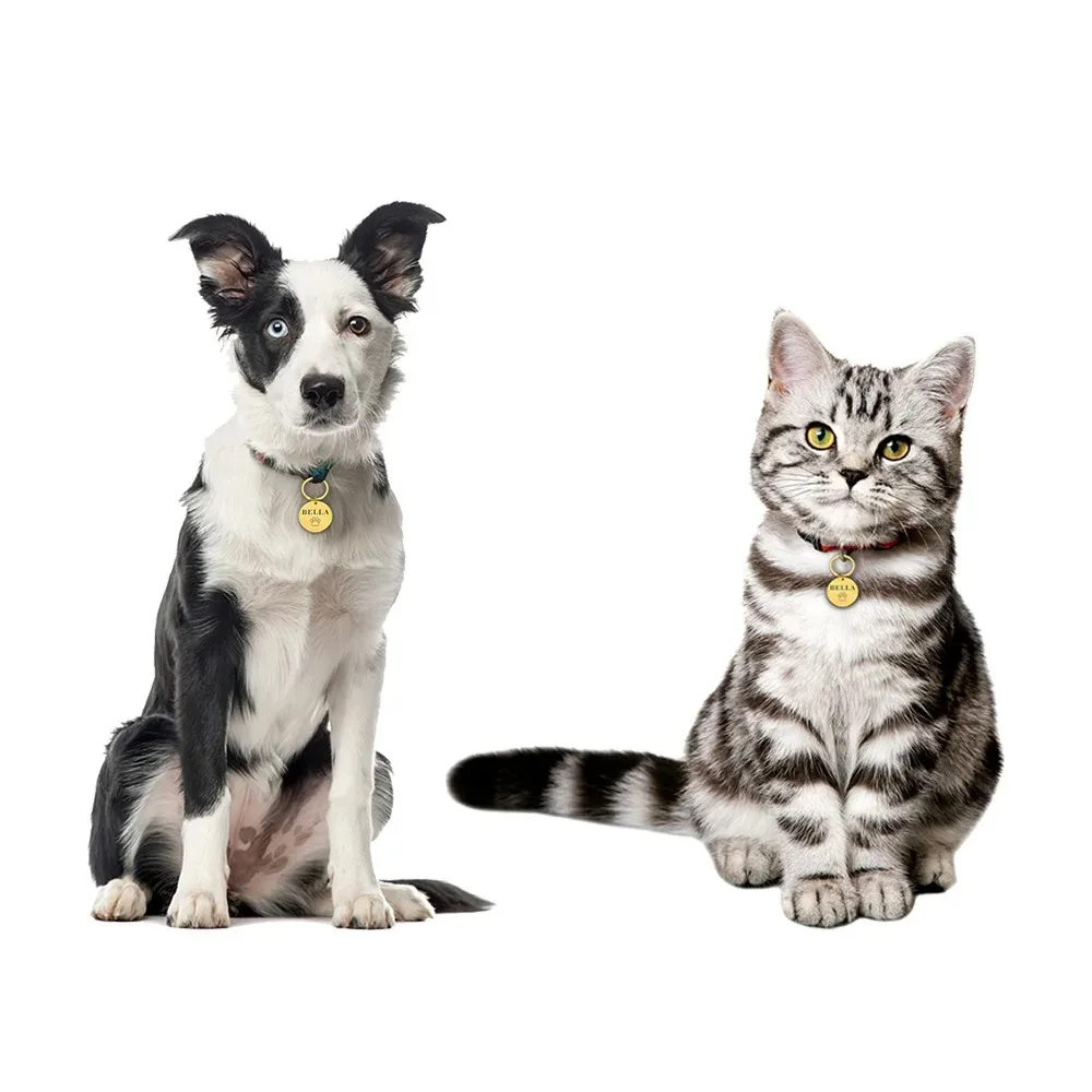 Plaqueta de Identificação para Cães e Gatos com Gravação Personalizada - Imagem 5