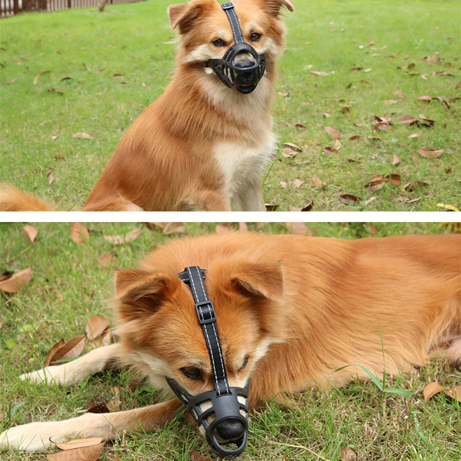 Focinheira de Plástico Macio para Cães com Design Respirável - Image 6