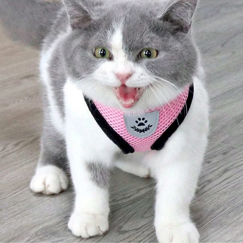 Coleira Peitoral para Cães de Poliéster com Malha Ajustável - Image 2