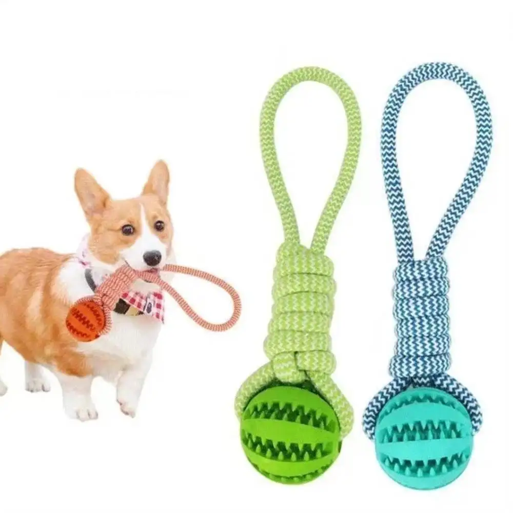 Bola de Algodão para Cães com Treinamento e Limpeza de Dentes - Imagem 3