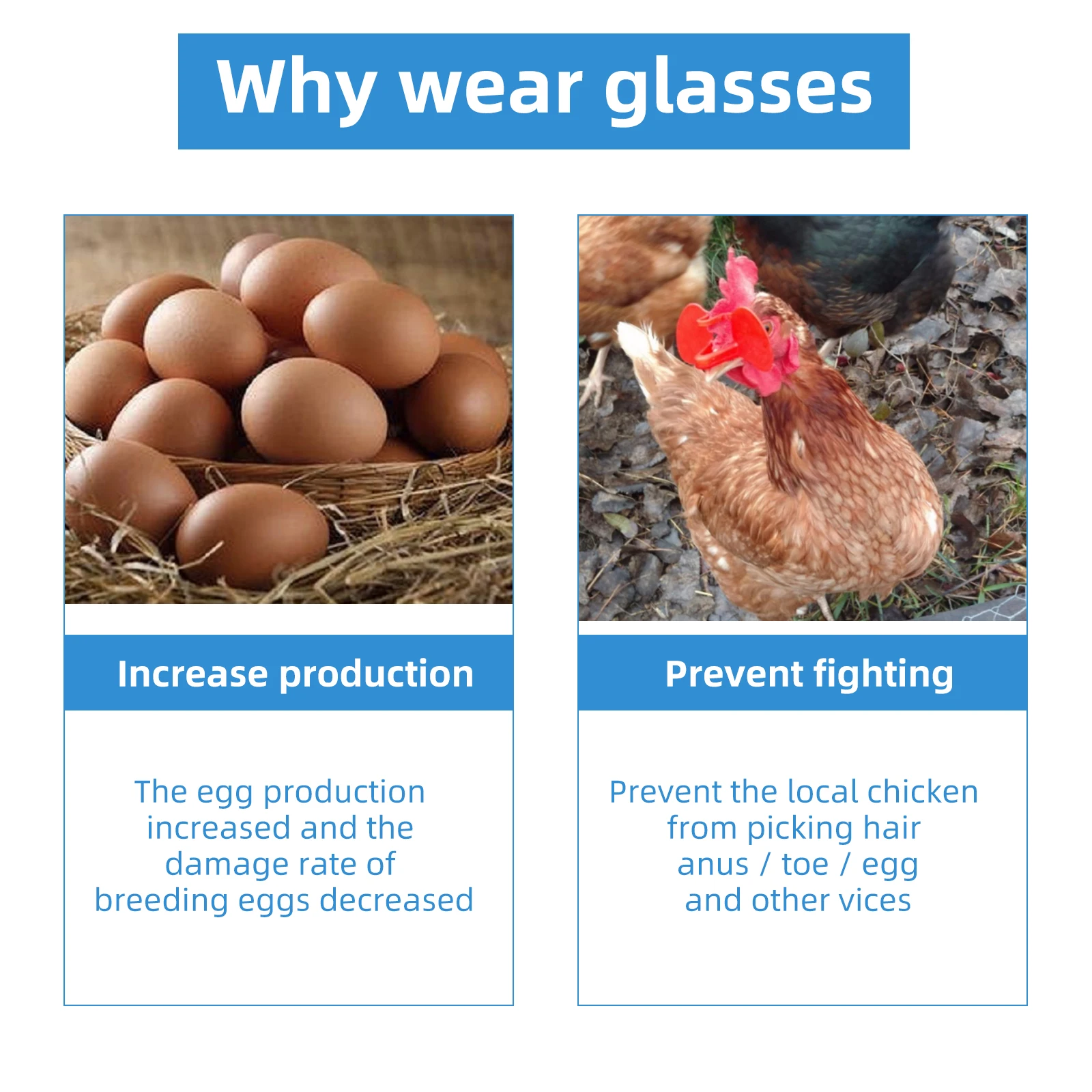 Óculos Anti-bicadas para Aves Sem Parafuso 50 Peças - Imagem 6