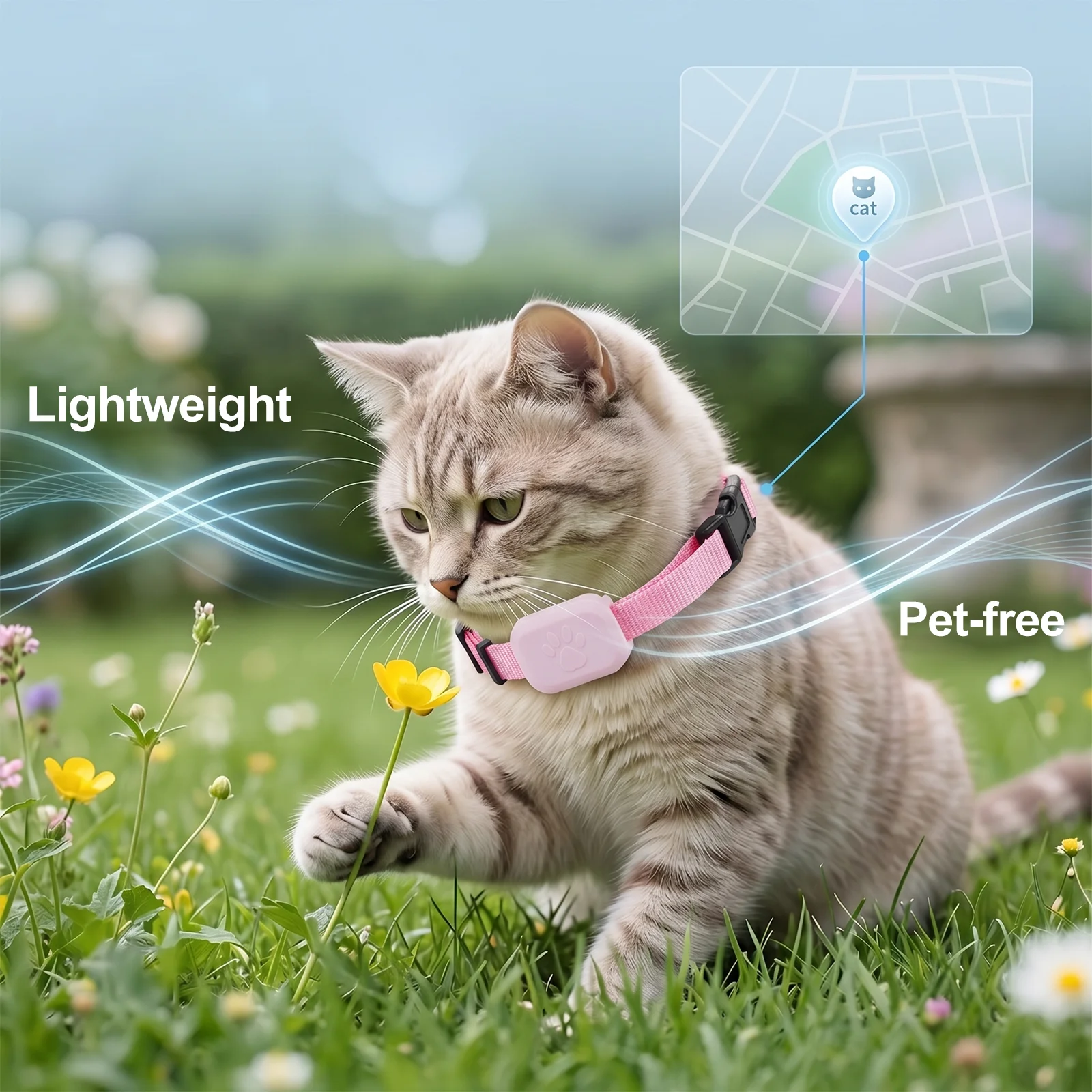 Rastreador GPS para Cães e Gatos com Alerta de Movimento - Imagem 6