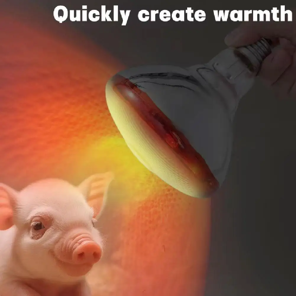 Lâmpada de Aquecimento para Aves E27 100W a 250W para Criadeiras - Imagem 5