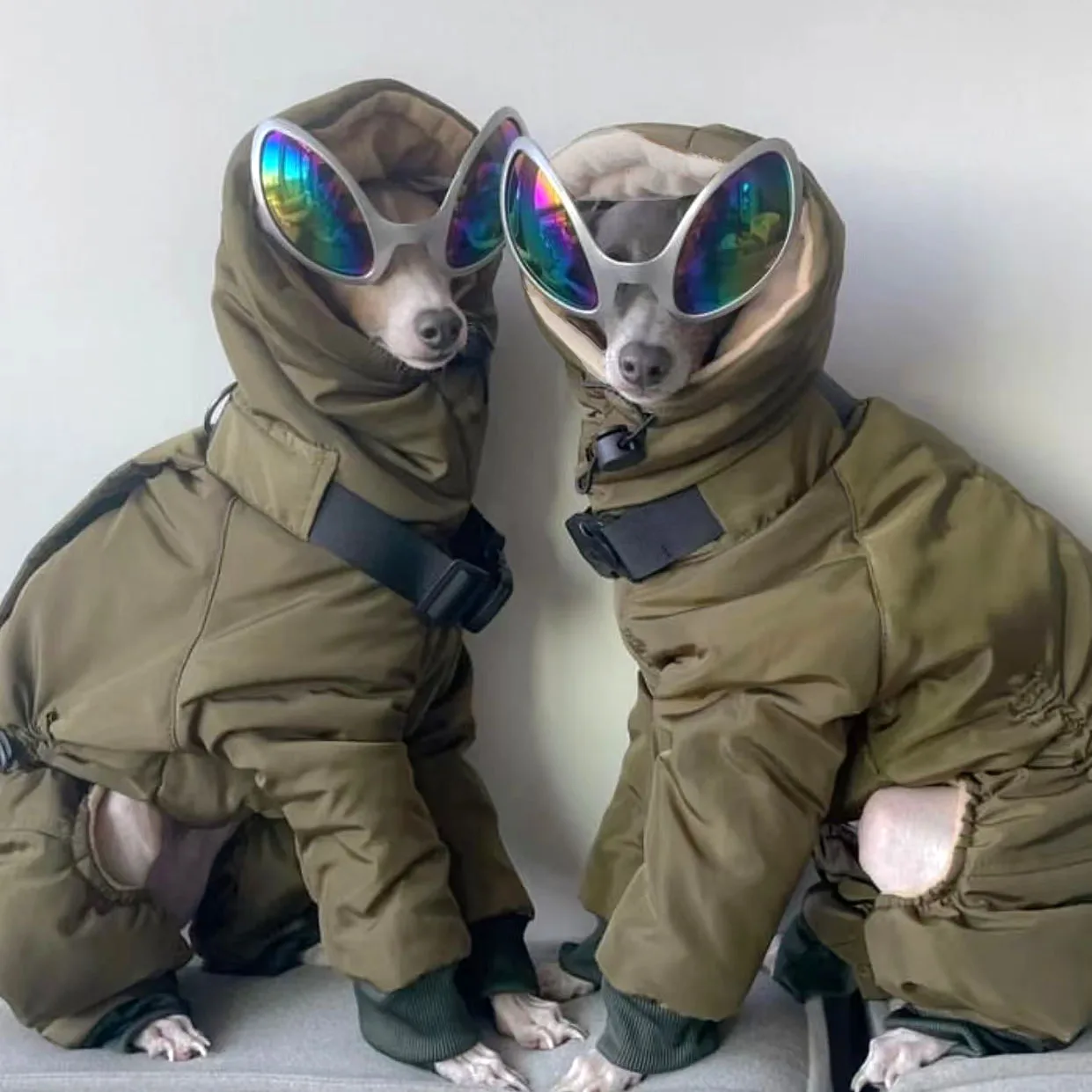 Jaqueta de Inverno para Cães Grandes com Capa Completa para Pescoço - Imagem 2