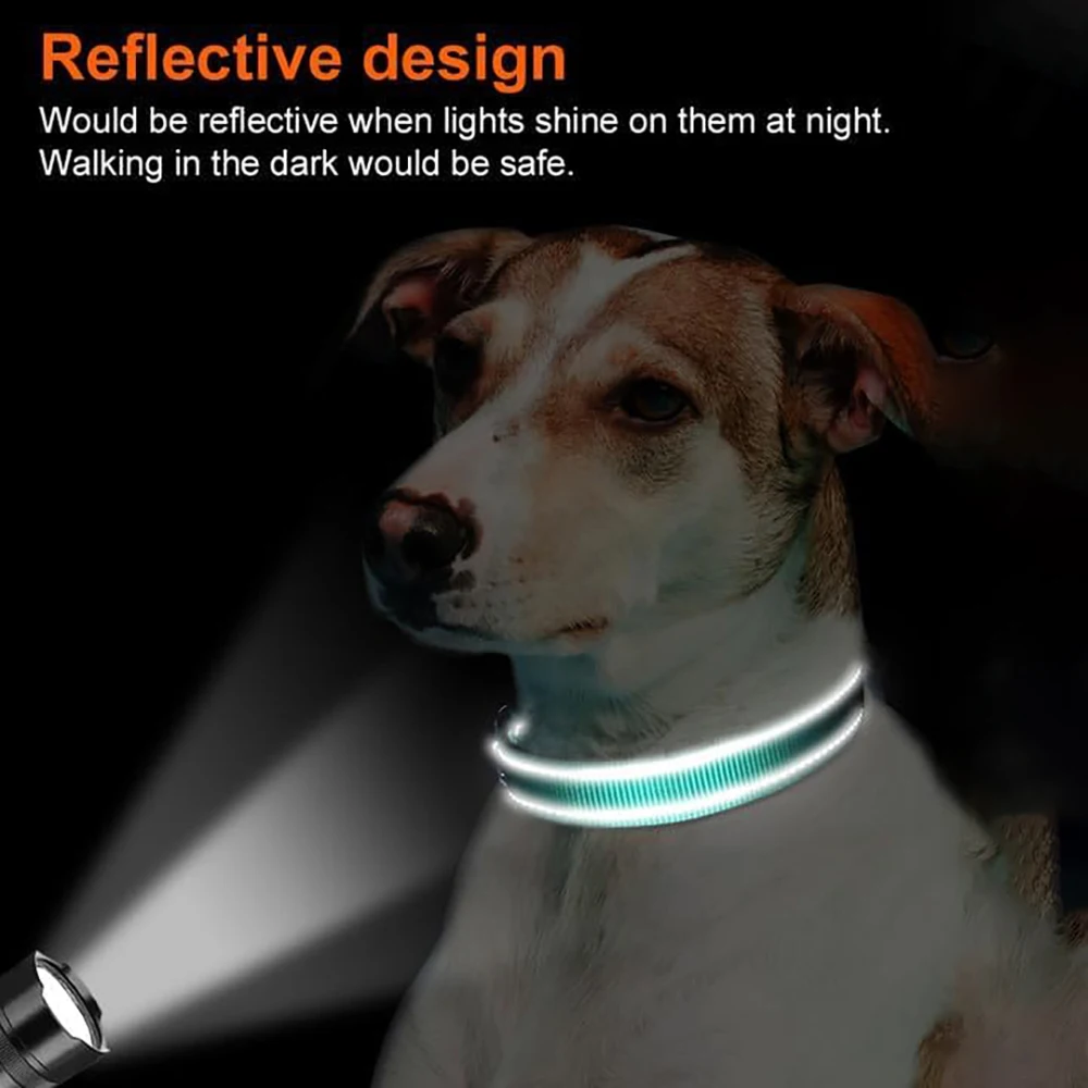 Coleira para Cães Médios de Nylon Ajustável com Fivela de Segurança - Imagem 4
