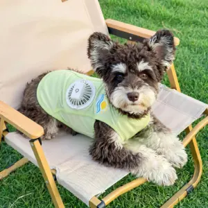 colete para cães com ventilador usb
