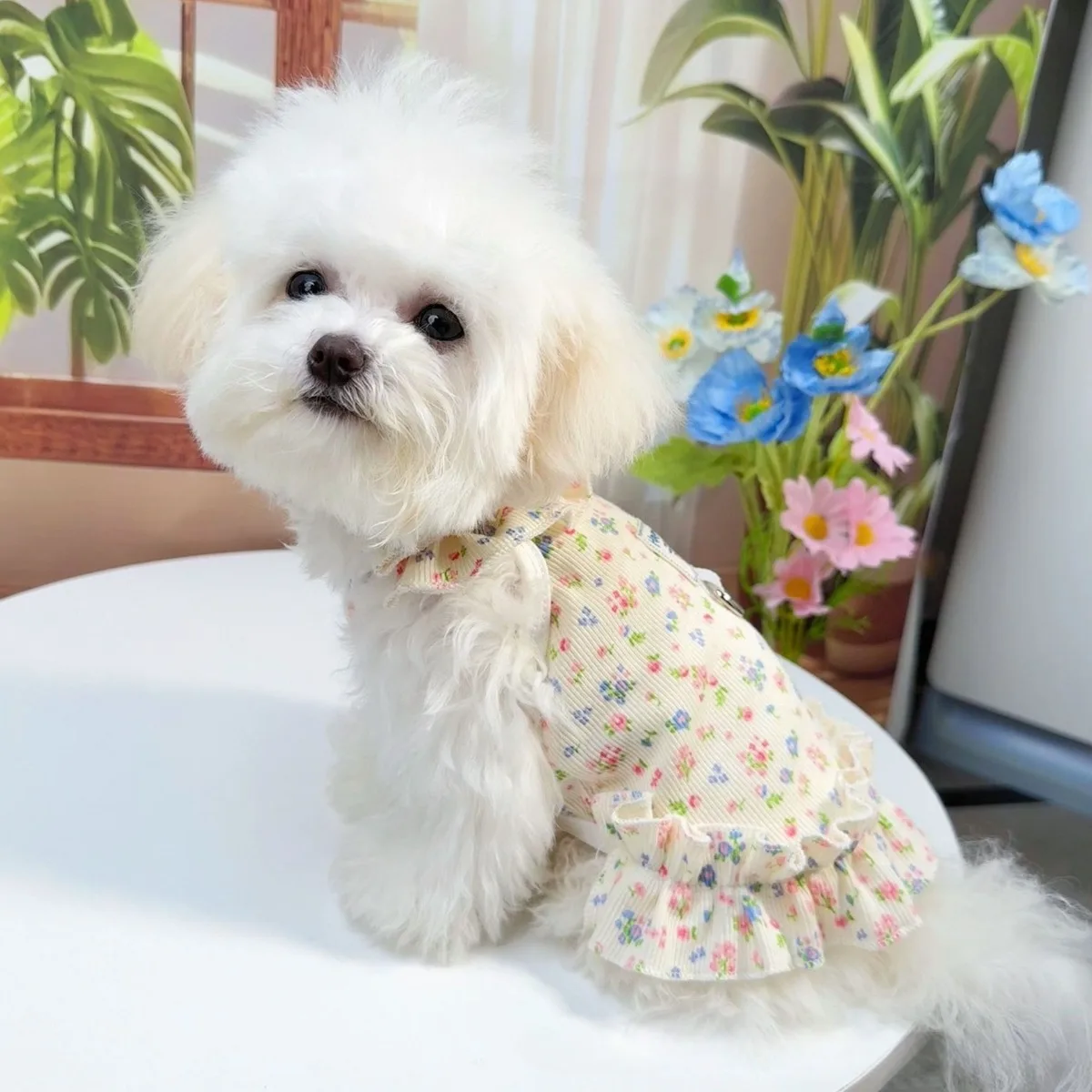 Vestido Floral para Cães e Gatos de Verão - Image 5