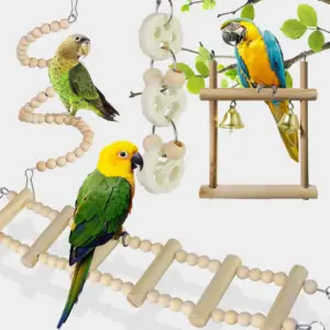 kit de brinquedos para pássaros