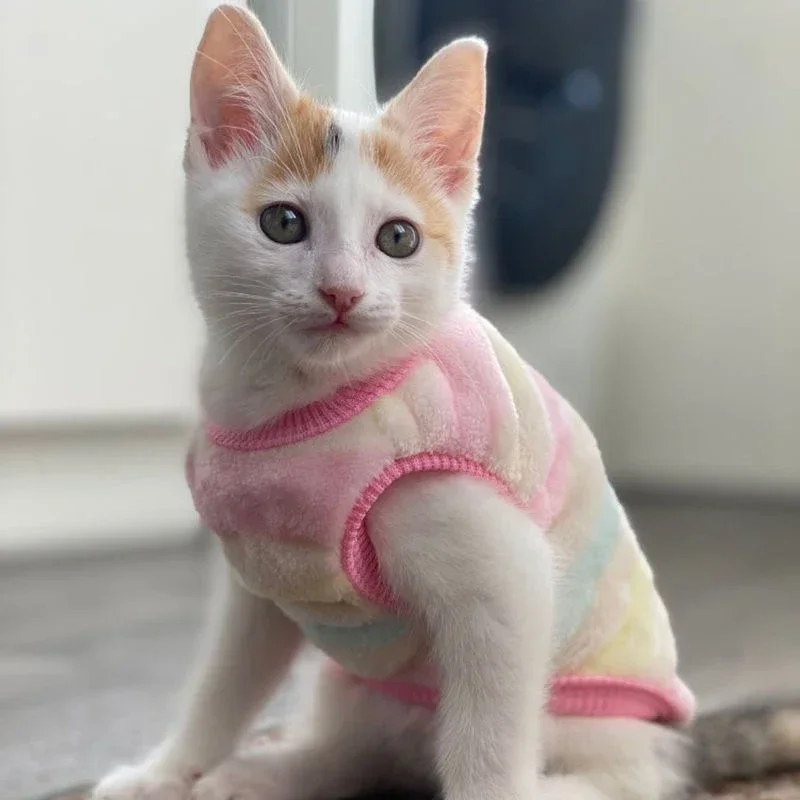 Colete de Lã para Cães e Gatos Pequenos e Médios para Inverno - Imagem 5