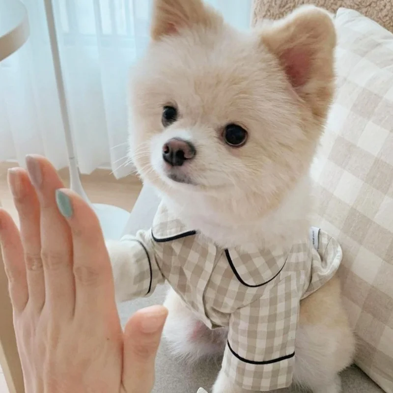 Pijama para Cães de Poliéster Macio para Uso Diário - Image 5