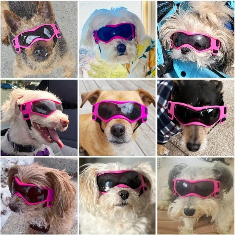 Óculos de Proteção UV para Cães Pequenos e Médios com Lente Curva - Imagem 3