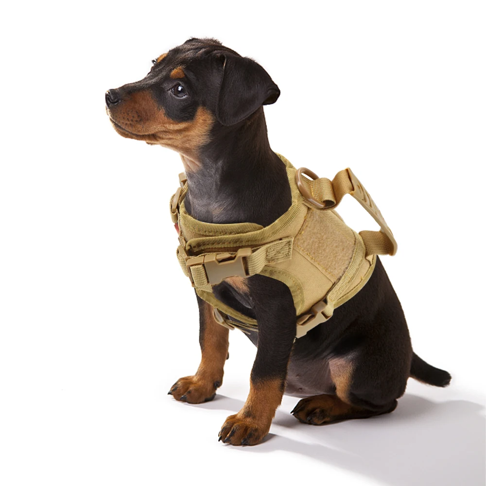 coleira peitoral tática para cães pequenos