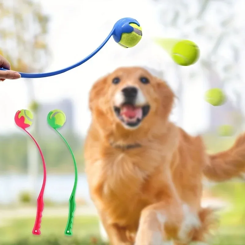 lançador de bolas para cães