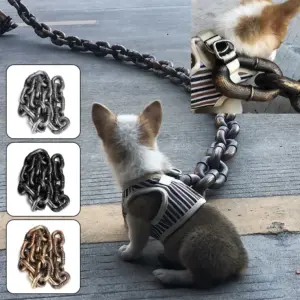 coleira engraçada para cães
