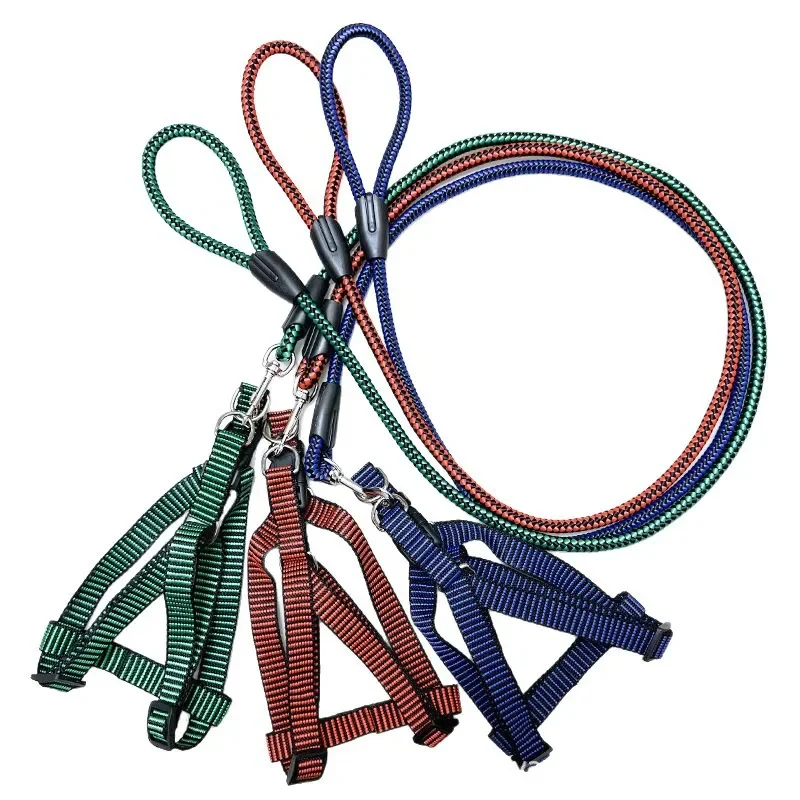 Conjunto Coleira e Guia para Cães Nylon Ajustável para Passeio - Image 3