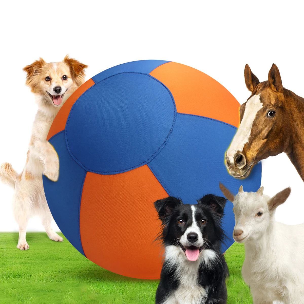 bola gigante para cães