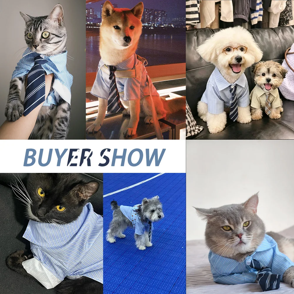 Camisa Listrada para Cães e Gatos Estilo Colegial - Imagem 2