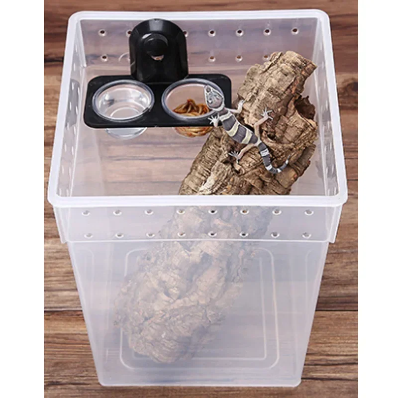 Tigela para Répteis com Ventosa para Gecko e Camaleão Castanho Escuro - Imagem 6