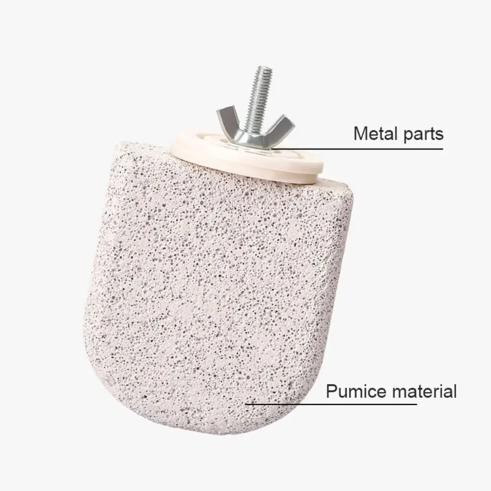 Placa de Suporte para Pássaros de Pedra-Pomes para Moer Dentes e Garras - Image 3