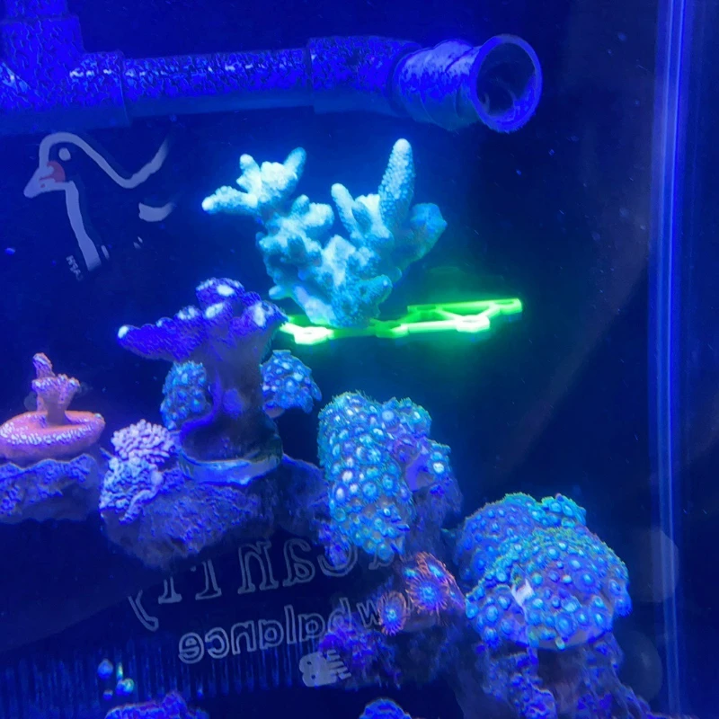 Suporte de Coral para Aquário com Gancho para Vidro de 4-15 mm - Imagem 5