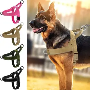 colete tático para cães