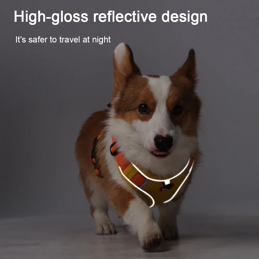 Coleira Refletiva para Cães com Suporte para AirTag Ajustável - Imagem 5