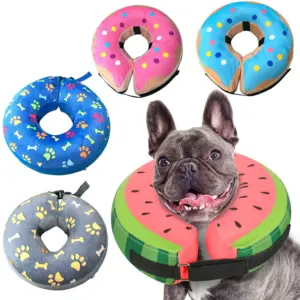 coleira inflável para cães pós-cirurgia
