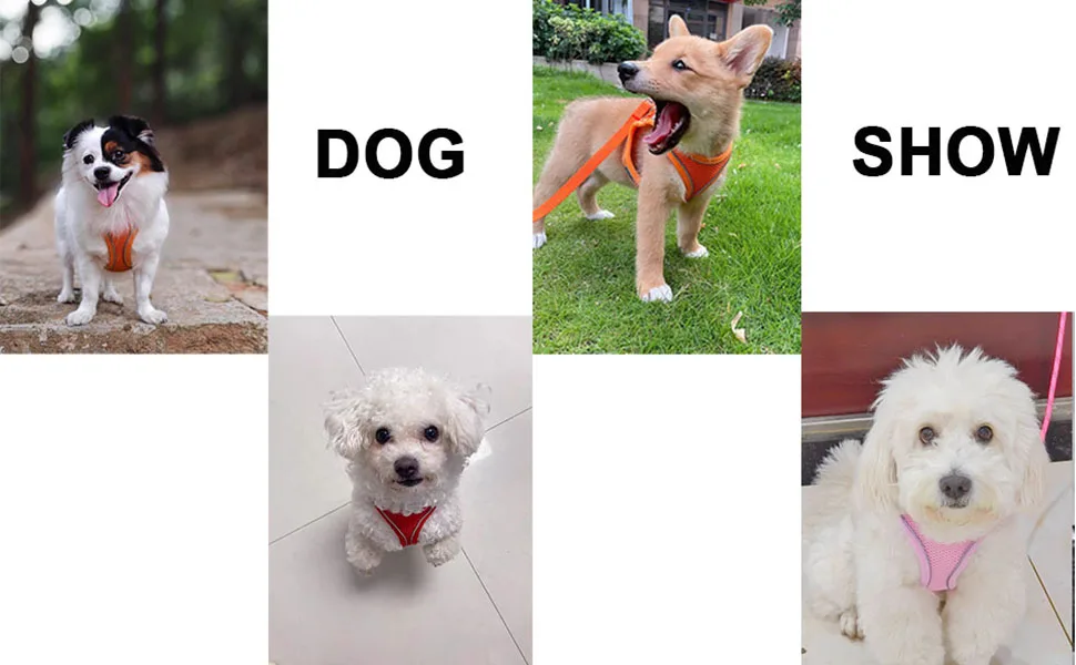 Coleira Peitoral Cães Malha Macia Ajustável para Passeio e Treino - Imagem 6